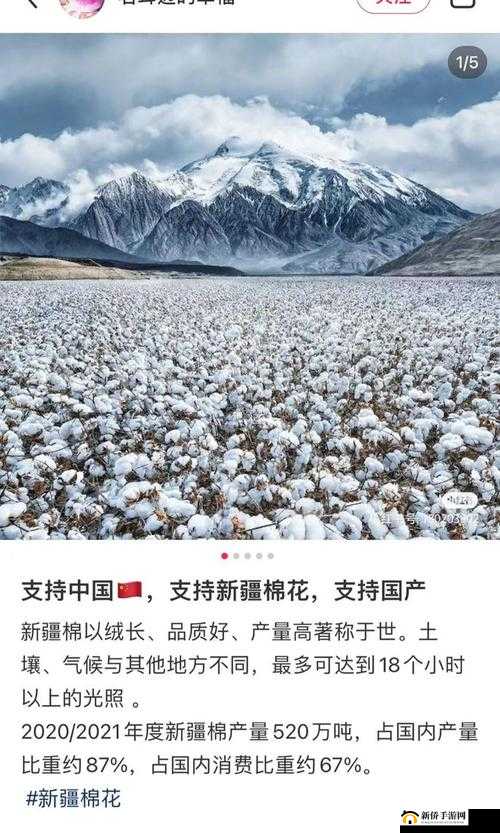 中国新疆棉花：洁白无瑕的优质原料