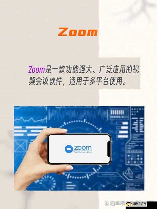 ZOOM 与 ZOOMHD 性能比较：孰优孰劣？