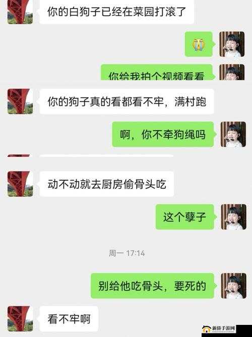 婆婆和我的狗老公怎么相处之和谐秘诀