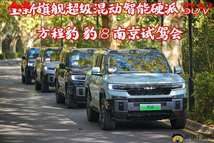 国产无人区码 SUV：新增欧洲日本精品资源，震撼体验