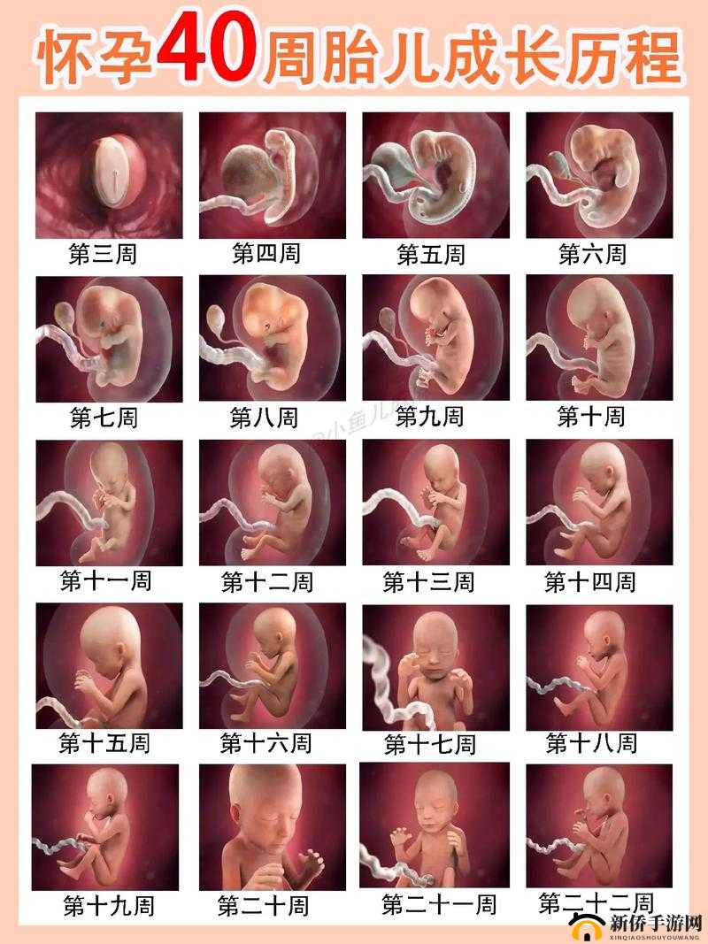 公交车艳妇系列 1 至 40 全记录