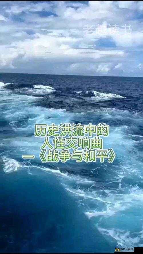 游荡大家庭交响曲：人性与情感的碰撞