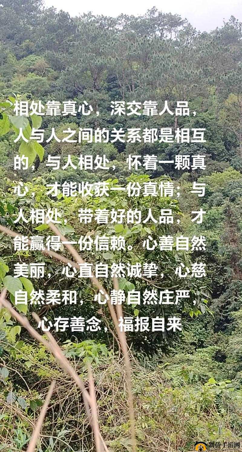 人与善交xuanwen18：真诚相伴的交友之旅