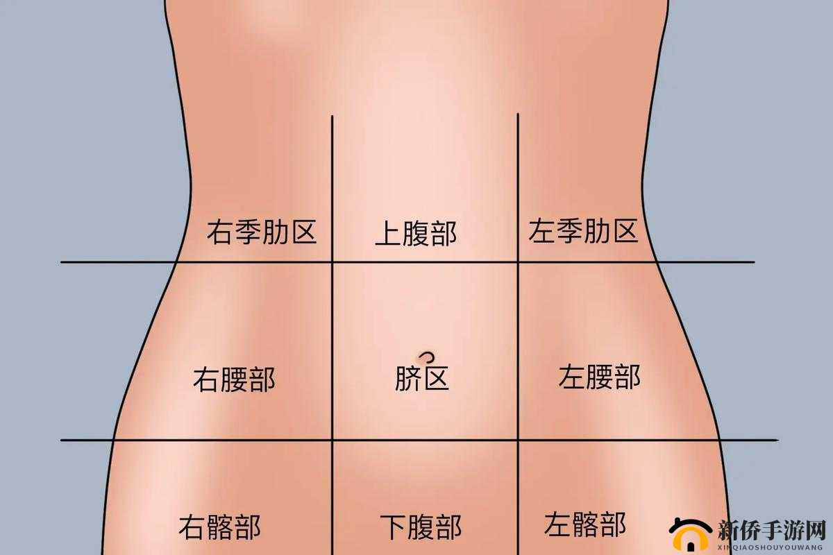 以腰部下沉进入动起来的近义词为中心-下沉启动，活力焕发