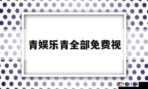 91青娱国产：优质娱乐内容平台