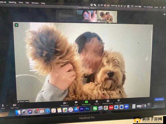 ZOOM 人狗 APP3D：开启奇妙互动之旅