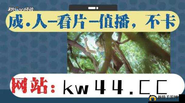 5g天天看天天爽最新更新内容揭秘：高清流畅体验，随时随地畅享极速网络