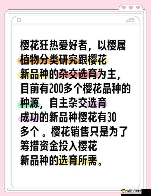 惩戒 5 狂热的工作指导樱花，到底有何独特之处？快来一探究竟