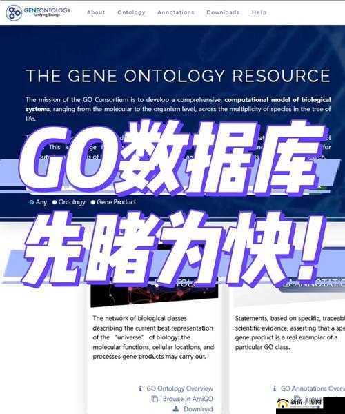 gogogo中国版最新功能解析：如何利用gogogo中国版提升工作效率与用户体验？