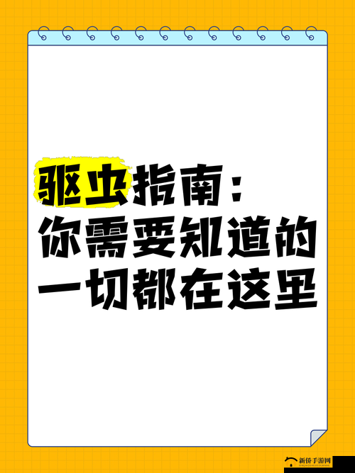 17c 官网：你想知道的一切都在这里