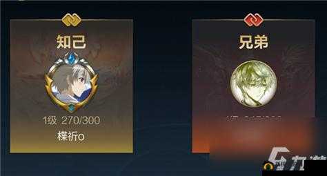 英雄联盟手游亲密度用处大揭秘以及增加亲密度的方法分享