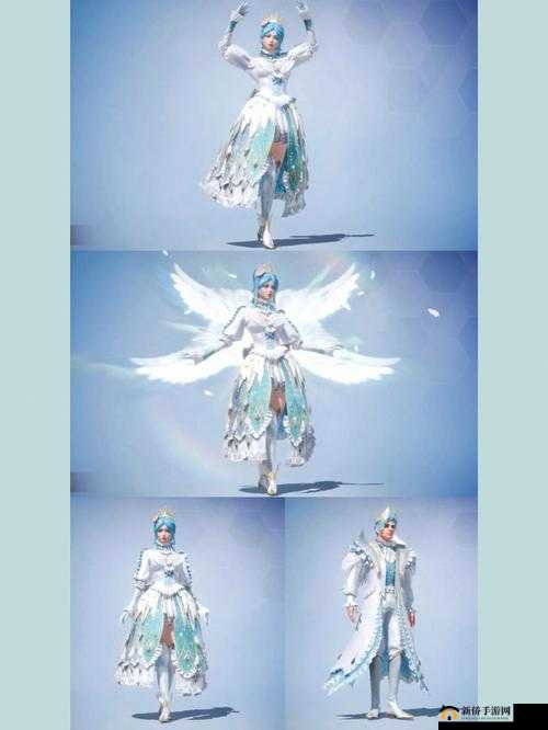 和平精英天之羽翼军需全览：价格详解与珍藏解析