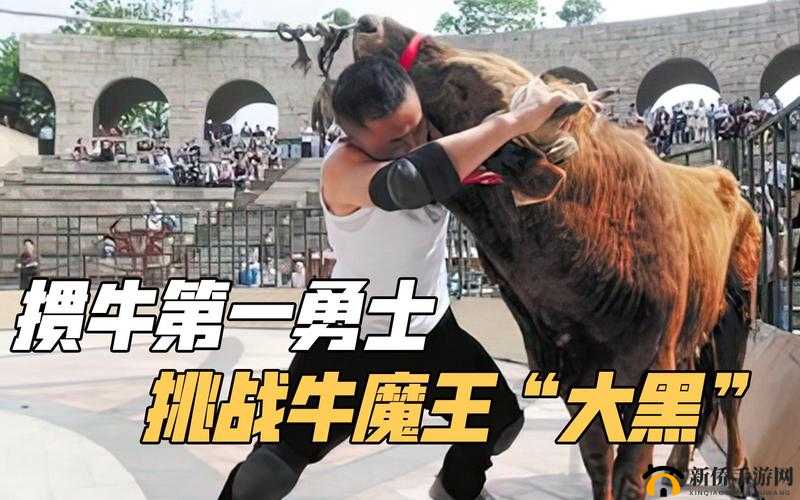 沙巴克传奇：牛魔王挑战之路