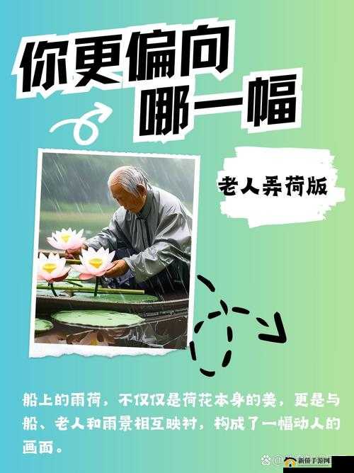 老人船上弄雨荷第十二集跚钢的精彩后续