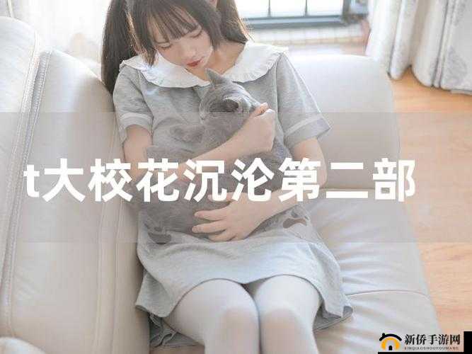 t 大校花的悲和泪：她的故事为何如此之火