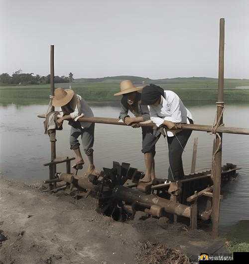 儿子耕种母亲的田地：爱与传承的耕耘