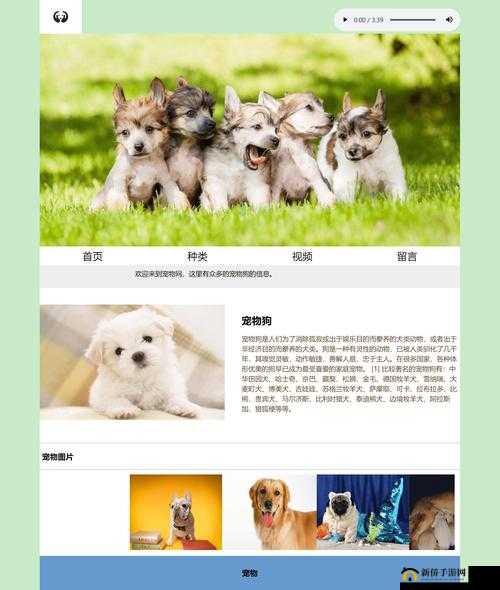 成品网站 10 款：实用网站推荐