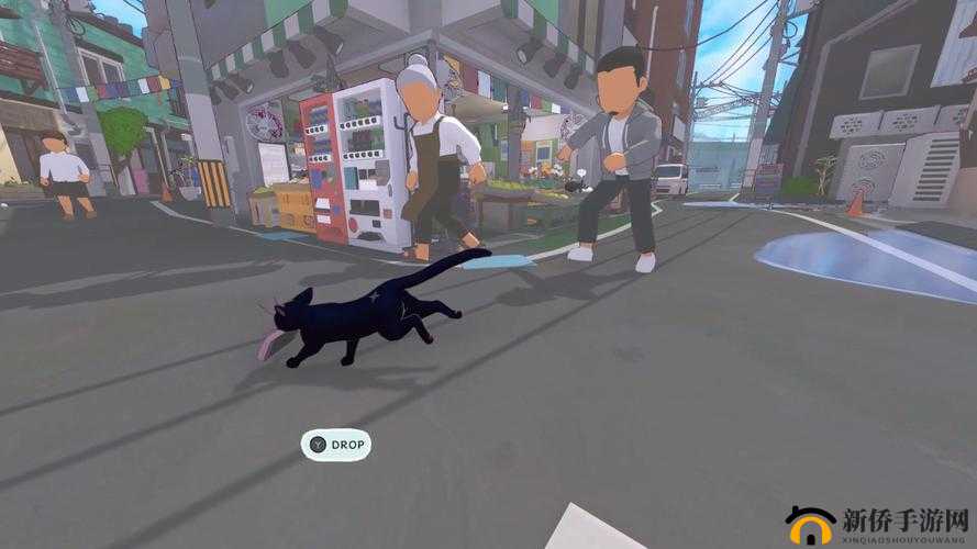 小猫咪大城市浣熊任务怎么做：探索城市，完成挑战