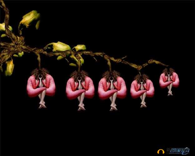 370 大但人文艺术：独特魅力与内涵