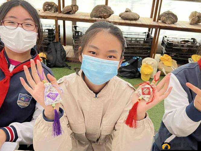 六年级菊花能塞下几支笔：趣味实验