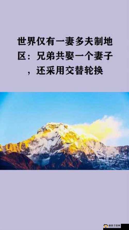 一前一后三人轮换交替相关