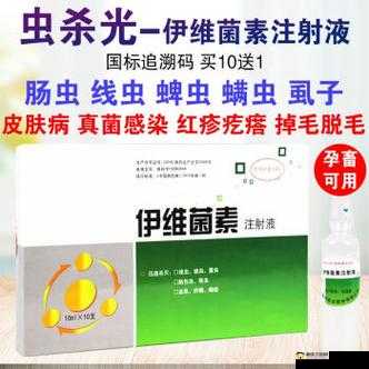 ZOOMSERVO兽狗剧情解析：深度探秘与剖析