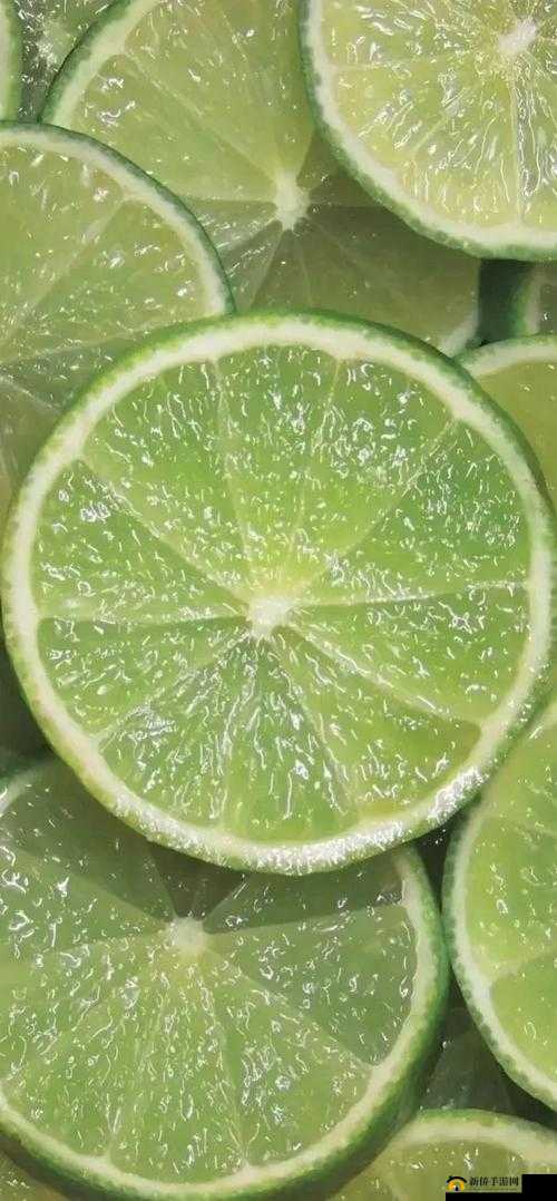 14may9-XXXXXL56edu 目前正在筹备当中：相关事宜