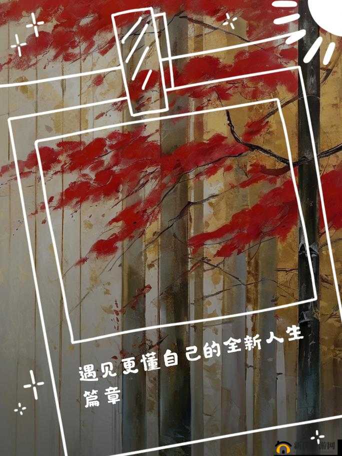 已满十八周岁从此转转：开启全新人生篇章