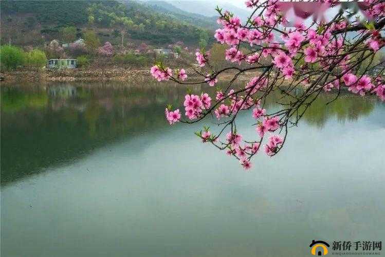 桃花洞口已是溪水潺潺：春景如画惹人醉