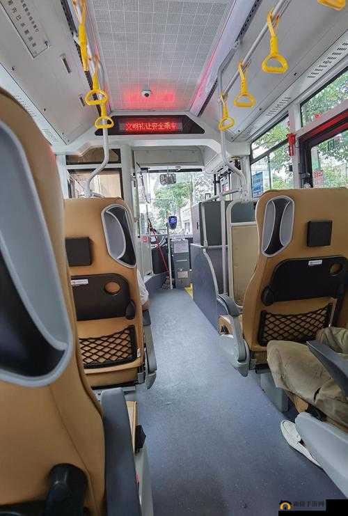 公交车内有多高 C：探究车内高度之谜