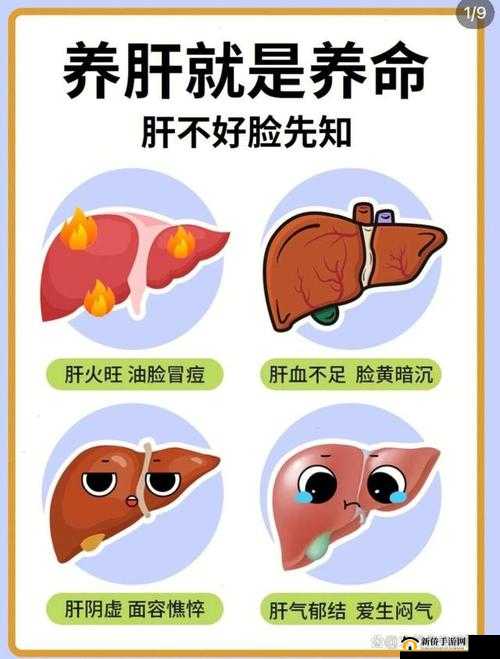 办公室强肝是好事还是恶性：探讨其影响