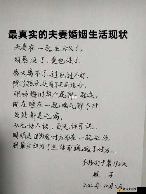 商且联姻 11 小时后的婚后生活