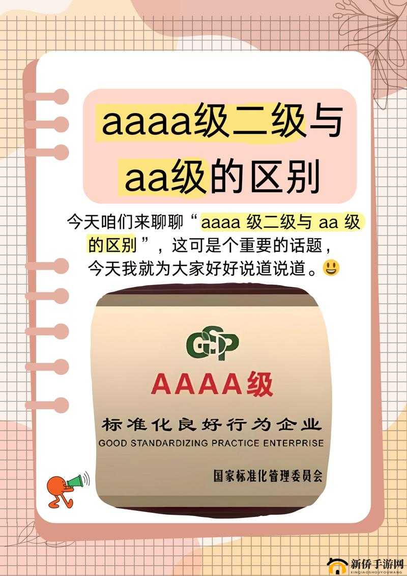 AAAA 级二级与 AA 级的区别-深度解析其差异