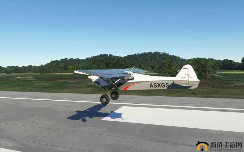 生存飞机坠落点选择指南：揭秘地上终末之日飞机坠落点的选择技巧与攻略分享