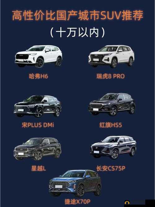 国产 SUV 精品一区二区 6：高品质、高性能、高性价比
