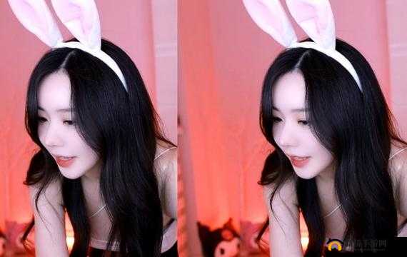 Ysl 千色 t9t9t9t9 加入仙踪林：全新体验之旅