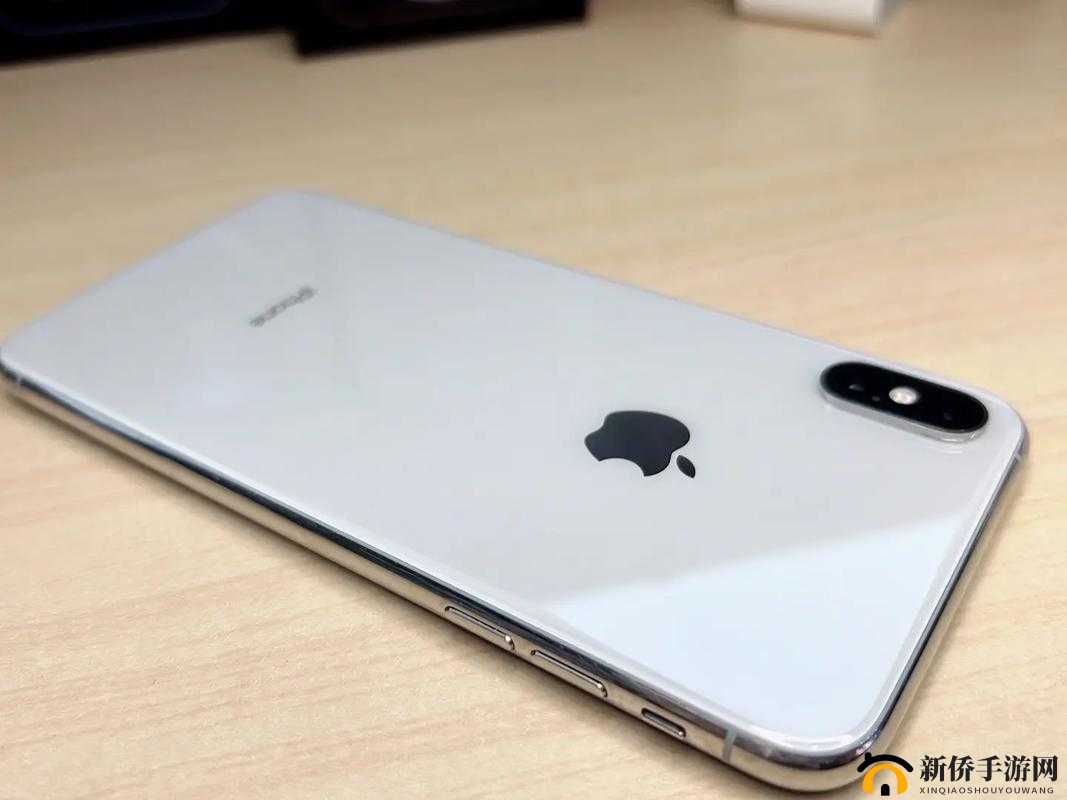 欧美 IPHONEXSMAX 大量精彩内容展示