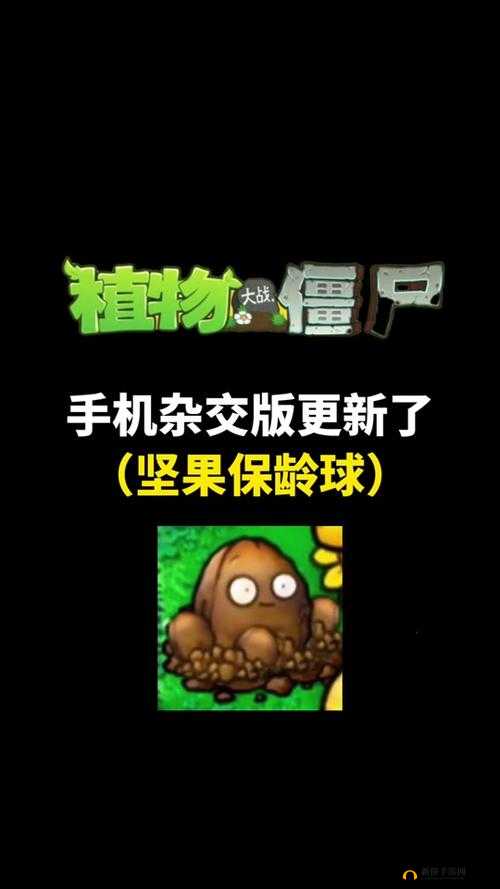 PVZ 杂交版迷你游戏坚果保龄球攻略：全面解析与技巧分享