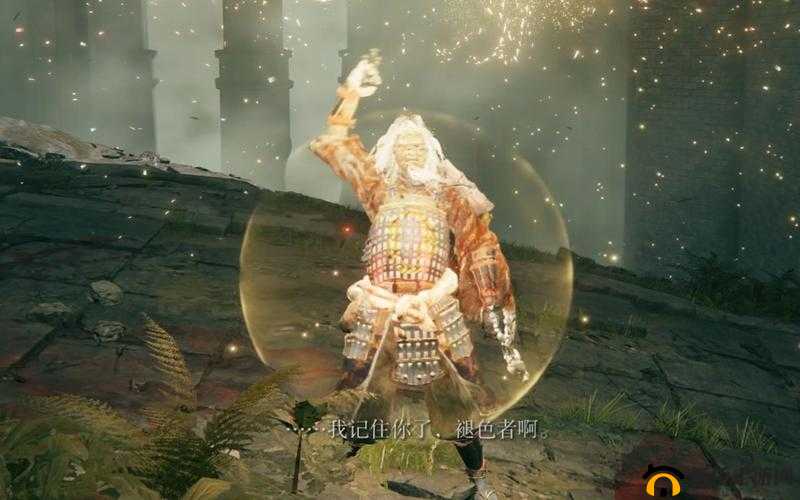 老头环老翁的欢愉位置：探寻神秘之境