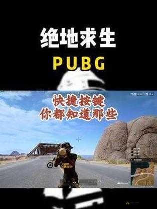 新玩法揭秘：绝地求生键大跳百分百成功秘籍教你看家跳翻