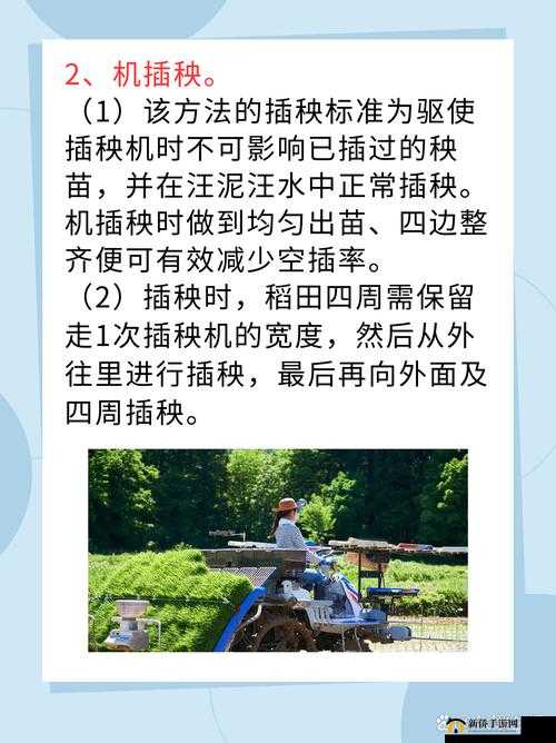 24 种男女插秧法：传统农耕技艺全揭秘