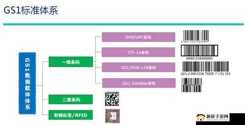 W 无区码一码二码三码：重要的编码体系