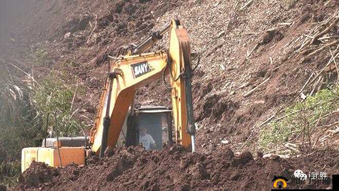 开垦母亲肥沃土地之行动