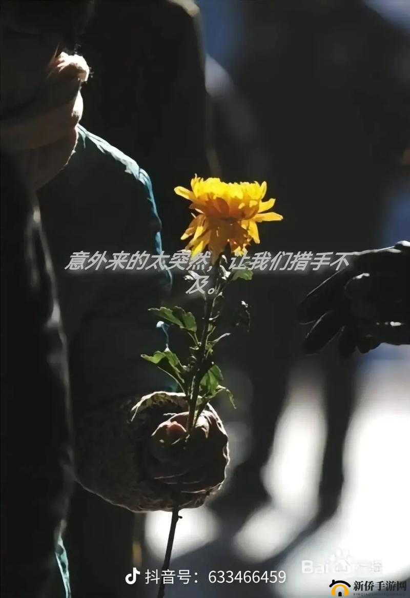 激动的心情久久难以平静-难以平静，激动的心情持续良久