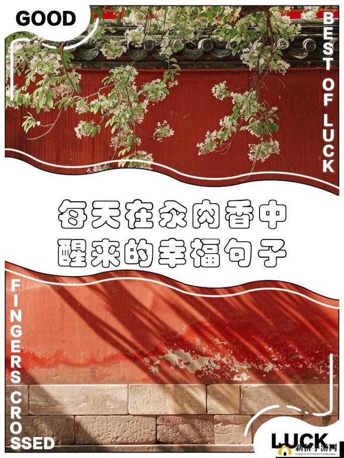 每天在汆肉中醒来：美食诱惑的清晨