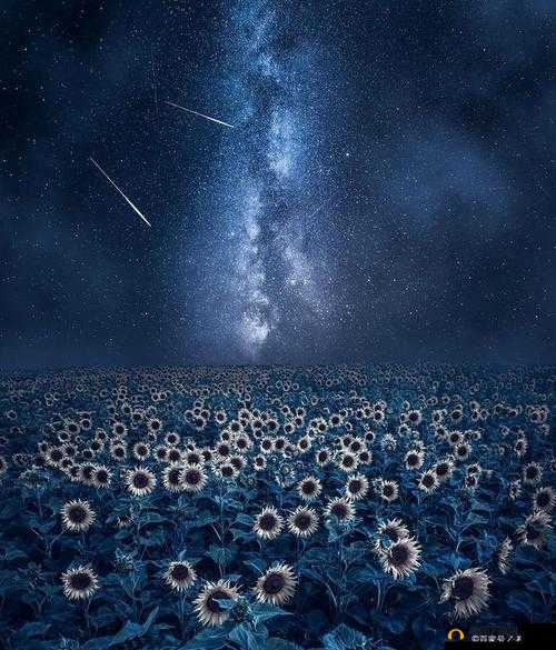 麻花星空 mv：星空下的奇妙麻花之旅