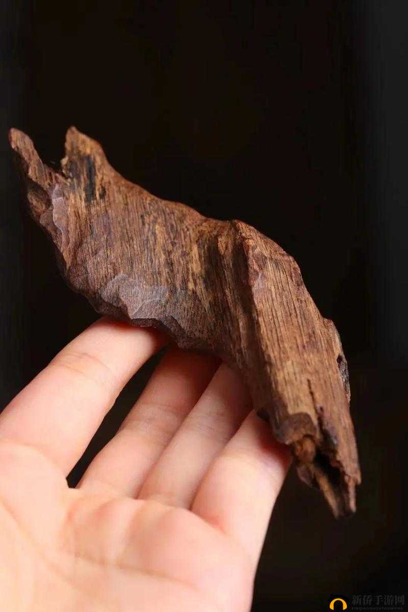 沉香一线产区之独特魅力