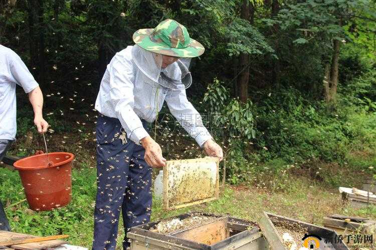 采蜜 1V.1H 方橙采意：关于它的介绍