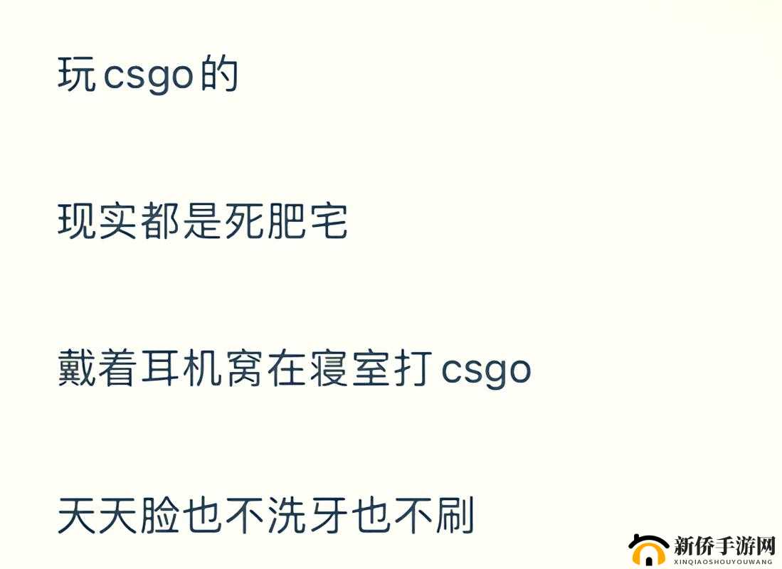 暴躁老阿姨 CSGO 剧情解析之深度剖析
