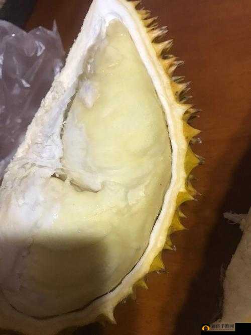 汆肉、奶油尖尖：探寻美食背后的故事